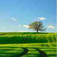 高‍质﻿量‌的‍外‍链‌